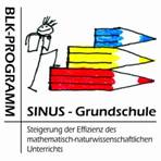 Sinus Logo